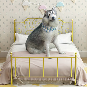 打造寵物公主夢 鐵藝寵物床與全套生活用品的溫馨指南